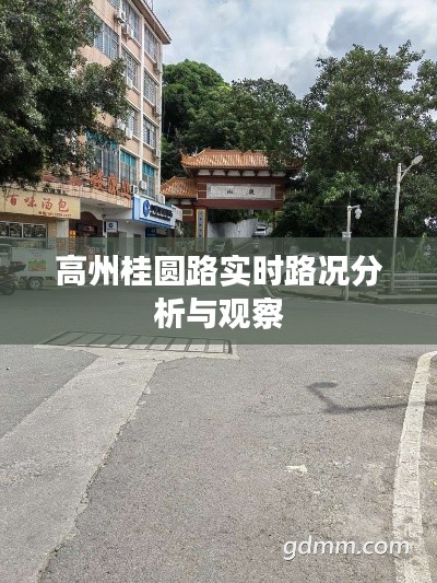 高州桂圆路实时路况详解与观察报告
