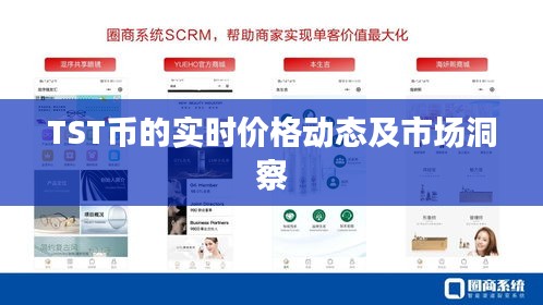 TST币实时价格动态与市场洞察分析