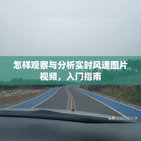 入门指南，如何观察与分析实时风速图片视频