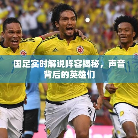 国足解说阵容揭秘，声音背后的英雄们探秘之旅