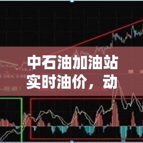 中石油加油站实时油价调整及公众关注度解析