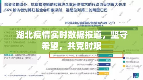 湖北疫情实时报道，共克时艰，坚守希望