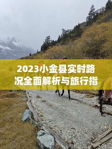 七贵三公 第3页