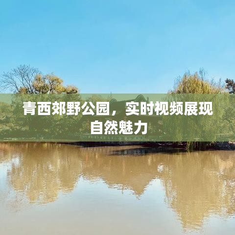 青西郊野公园自然魅力实时展现视频