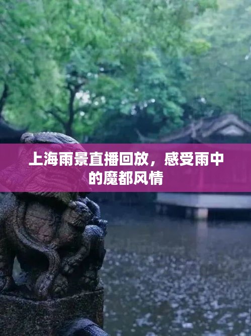 上海雨景直播回放，雨中魔都的风情体验