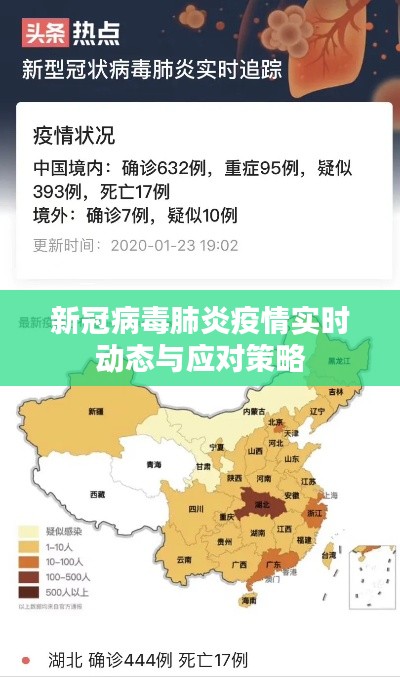 新冠病毒肺炎疫情实时动态及应对策略探讨
