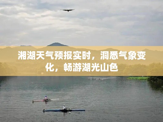 飞鸟惊蛇 第3页