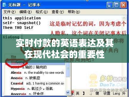 实时付款英语表达与现代社会的重要性探讨