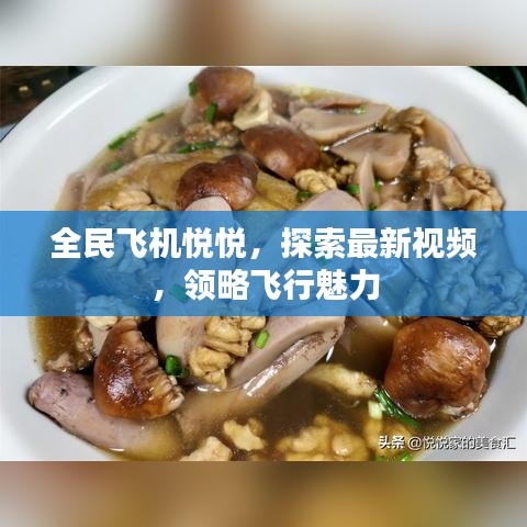 全民飞机悦悦，探索最新视频，感受飞行的无限魅力