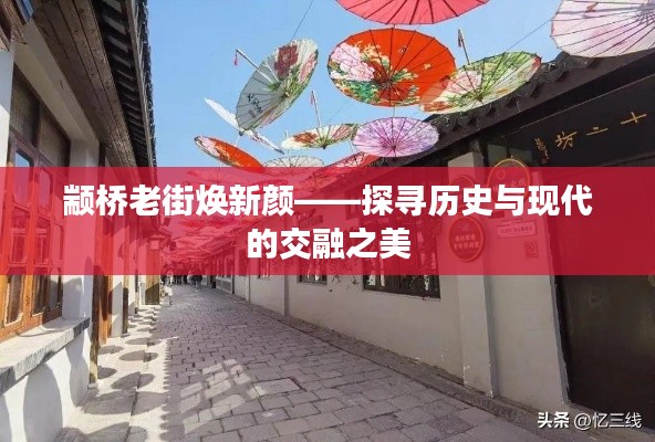 罗含梦鸟 第3页