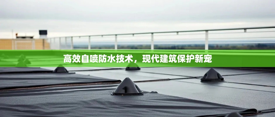 浅笑轻吟梦一曲 第3页