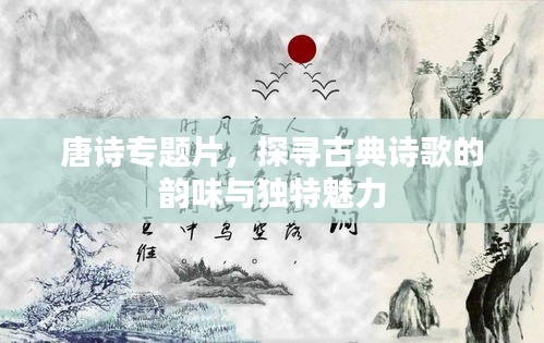 唐诗专题片，探寻古典诗歌的韵味与独特魅力