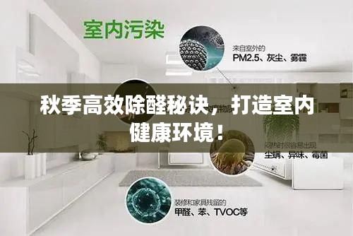 秋季高效除醛秘诀，打造室内健康环境！