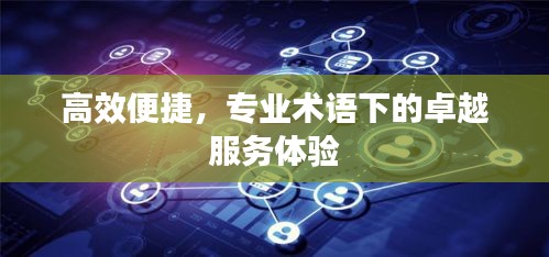 高效便捷，专业术语下的卓越服务体验