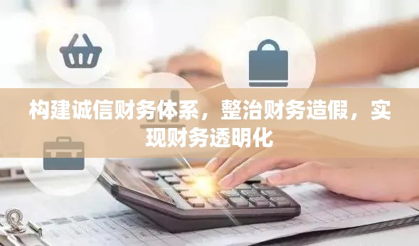 构建诚信财务体系，整治财务造假，实现财务透明化