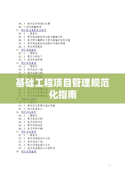 基础工程项目管理规范化指南