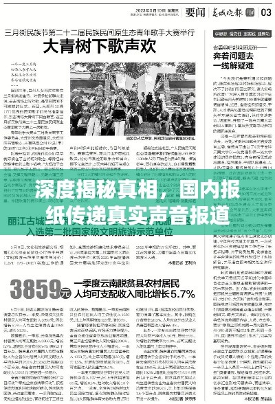深度揭秘真相，国内报纸传递真实声音报道