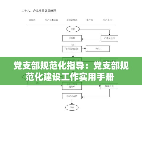 党支部规范化指导：党支部规范化建设工作实用手册 