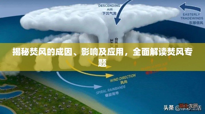 揭秘焚风的成因、影响及应用，全面解读焚风专题