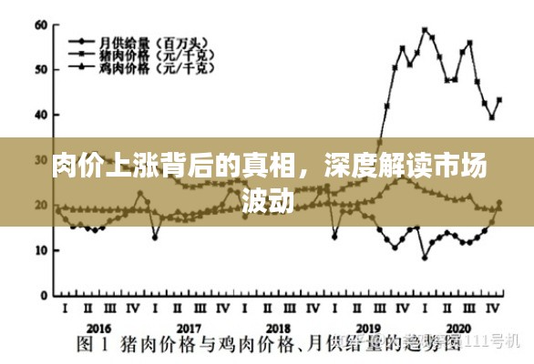 鸟吏鼈官 第3页