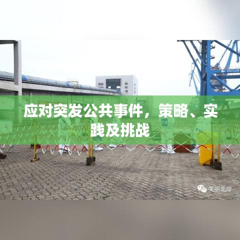 应对突发公共事件，策略、实践及挑战