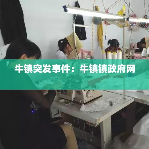 牛镇突发事件：牛镇镇政府网 