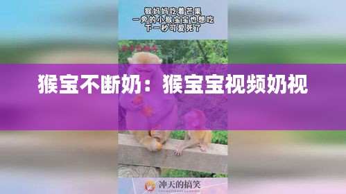 猴宝不断奶：猴宝宝视频奶视 