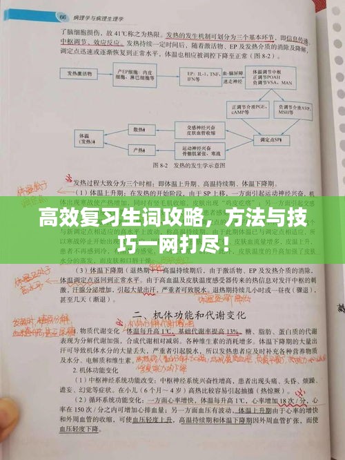 高效复习生词攻略，方法与技巧一网打尽！