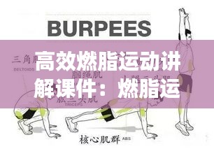 高效燃脂运动讲解课件：燃脂运动教学 