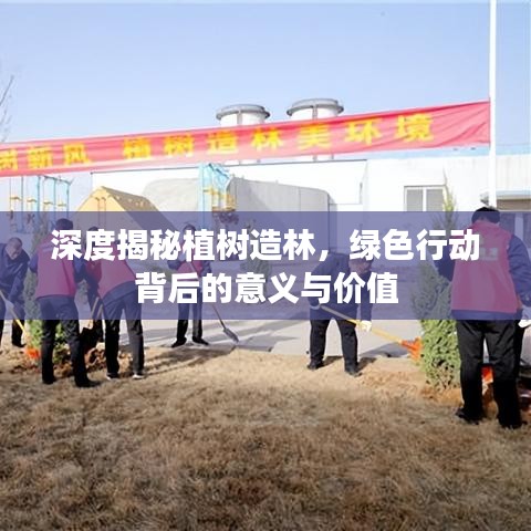 深度揭秘植树造林，绿色行动背后的意义与价值