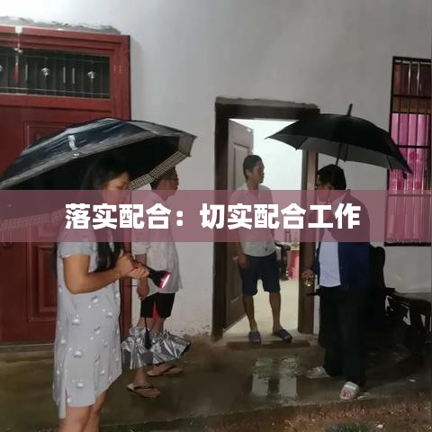 落实配合：切实配合工作 