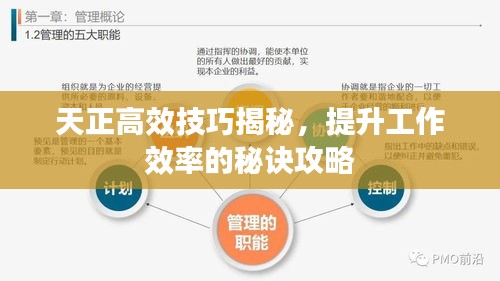 天正高效技巧揭秘，提升工作效率的秘诀攻略