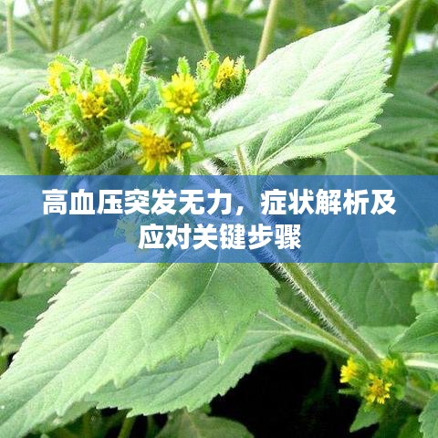 事必躬亲 第2页
