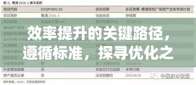 效率提升的关键路径，遵循标准，探寻优化之道