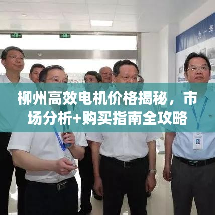 柳州高效电机价格揭秘，市场分析+购买指南全攻略！