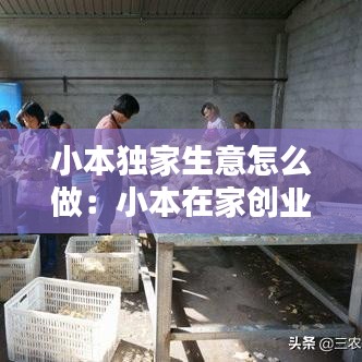 小本独家生意怎么做：小本在家创业 