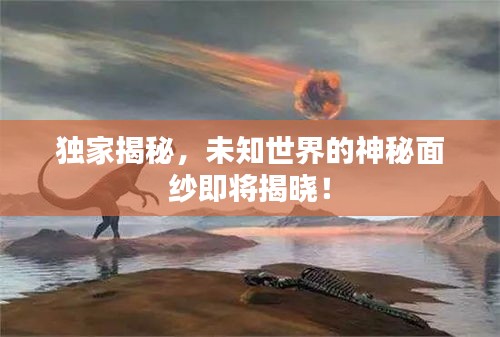独家揭秘，未知世界的神秘面纱即将揭晓！