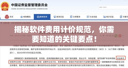 揭秘软件费用计价规范，你需要知道的关键要点！
