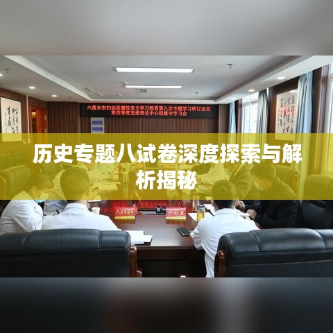历史专题八试卷深度探索与解析揭秘