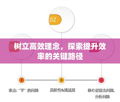 树立高效理念，探索提升效率的关键路径