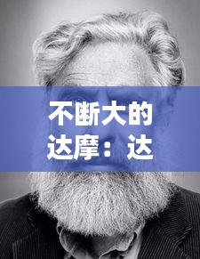 不断大的达摩：达摩干嘛的 