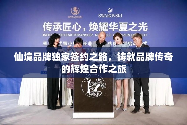 仙境品牌独家签约之路，铸就品牌传奇的辉煌合作之旅