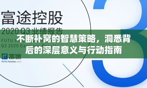 不断补窝的智慧策略，洞悉背后的深层意义与行动指南