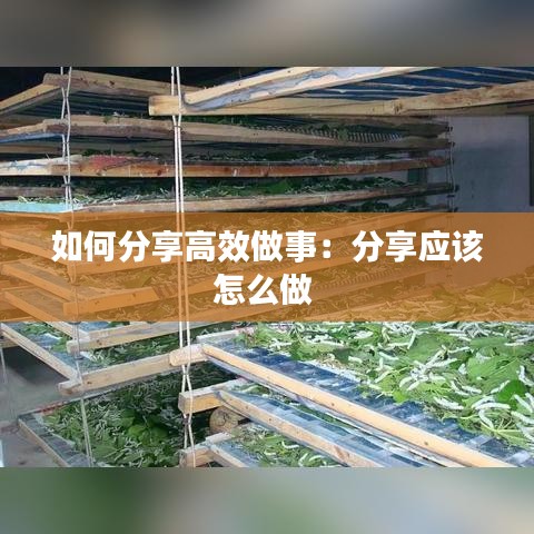 如何分享高效做事：分享应该怎么做 