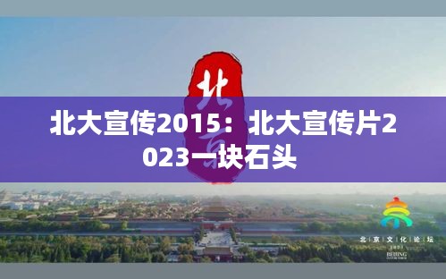 北大宣传2015：北大宣传片2023一块石头 