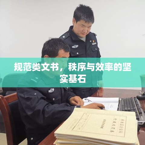 规范类文书，秩序与效率的坚实基石