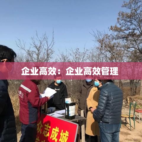 企业高效：企业高效管理 