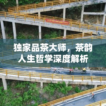 独家品茶大师，茶韵人生哲学深度解析