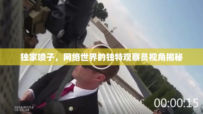独家喷子，网络世界的独特观察员视角揭秘