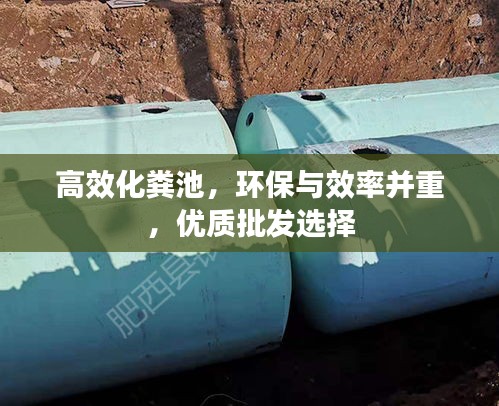 高效化粪池，环保与效率并重，优质批发选择